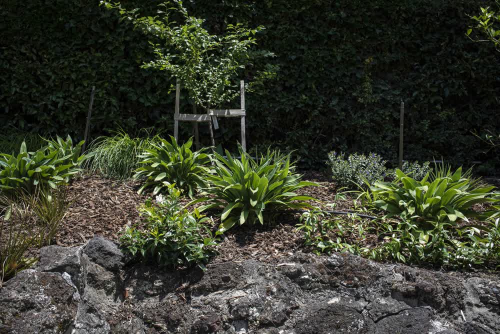 Rugged stone retaining wall with natural top and light planting